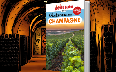 A la découverte du vignoble champenois avec le Petit Futé : Oenotourisme en Champagne