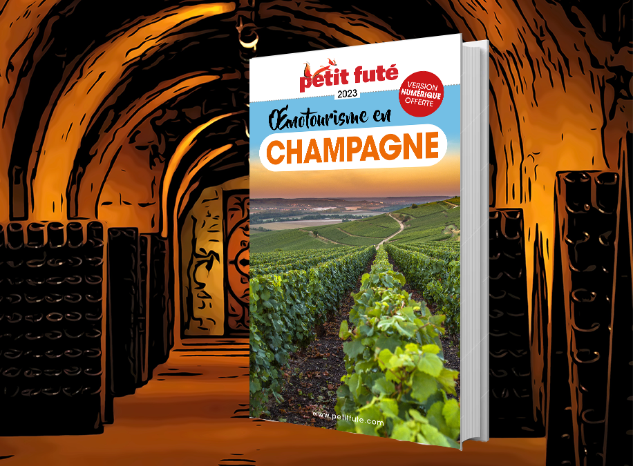 A la découverte du vignoble champenois avec le Petit Futé : Oenotourisme en Champagne
