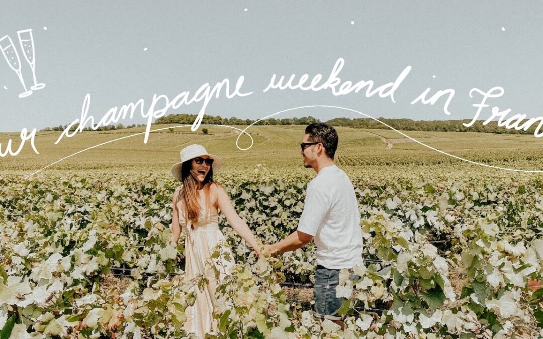 Oenotourisme en Champagne : Laissez vos sens pétiller dans le vignoble des bulles dorées !